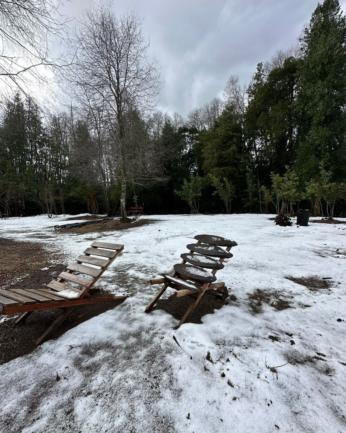 Parcelas en Longaví - InmoMaule
